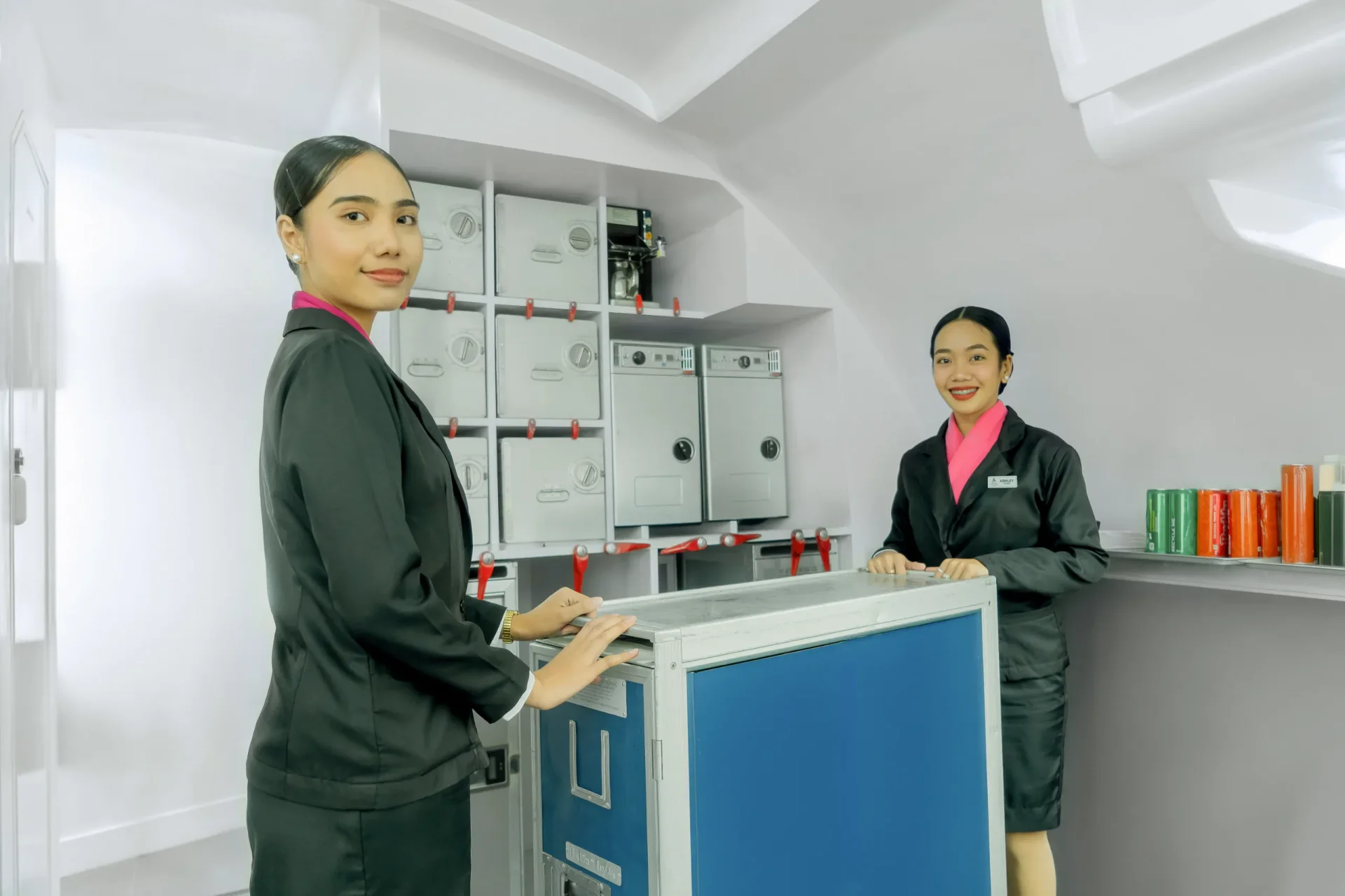 Astoria-ACHI Flight Attendant Training Program gallery image 6