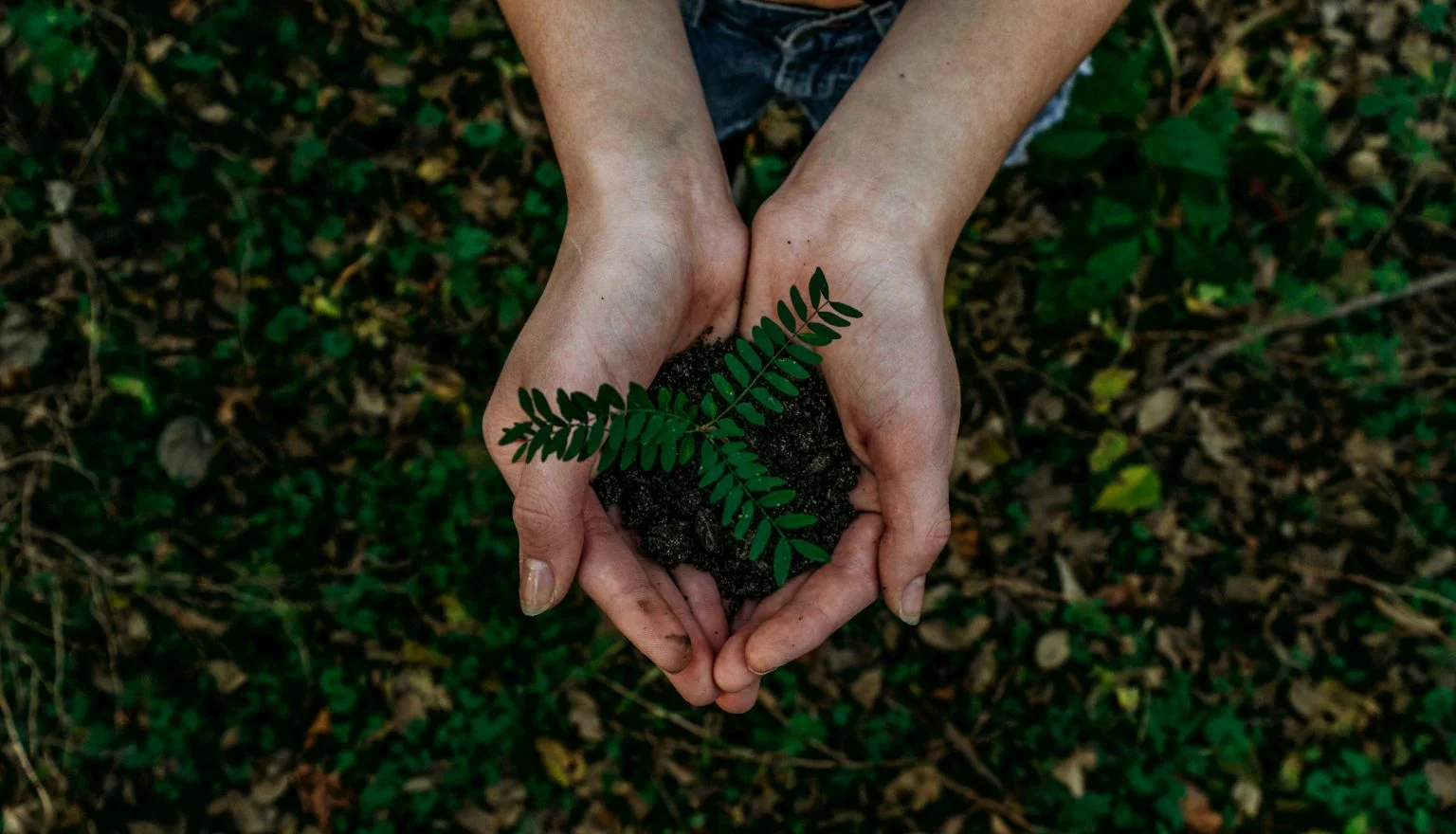 From Farm to Fork: Unveiling the Sustainable Practices in the Food and Beverage Industry